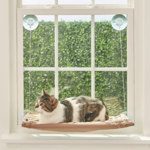 Best Cat Window Perches