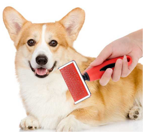 Best Brushes for Short Haired Dogs