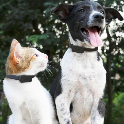 Best Pet Trackers for Cats and Dogs