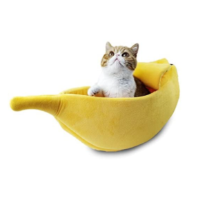 Top-Rated Cat Beds