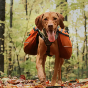 Best Dog Hiking Backpacks