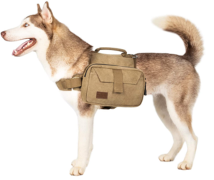 Best Dog Hiking Backpacks