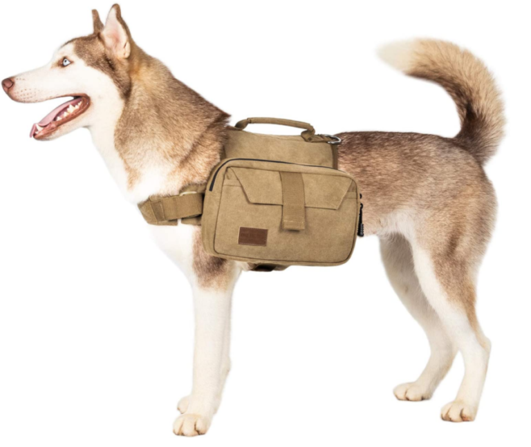 10 Best Dog Hiking Backpacks, Saddle Bags for Dogs Dog's Hiking Gear