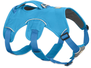 Best Puppy Harness