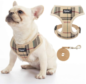 Best Puppy Harness