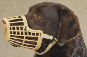 Benefits of Dog Muzzles