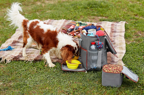 Best Dog Travel Bags