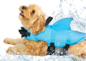 Best Dog Life Jackets