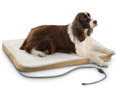 Best Heated Dog Pad