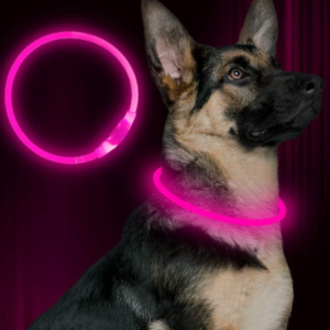 Best LED Dog Collars