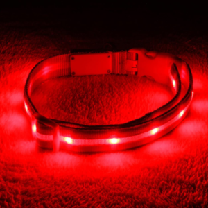 Best LED Dog Collars