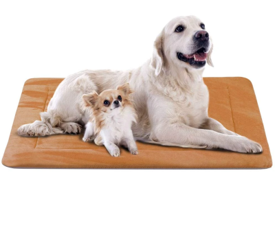 Best Washable Dog Beds