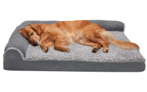 Best Washable Dog Beds