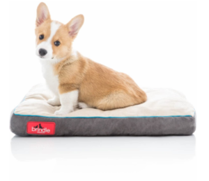 Best Washable Dog Beds