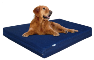 Best Washable Dog Beds