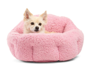 Best Washable Dog Beds