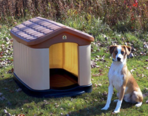 Best Dog Houses for Winter