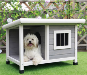 Best Dog Houses for Winter