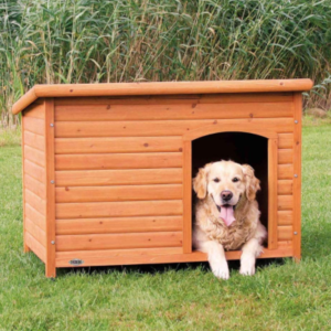 Best Dog Houses for Winter