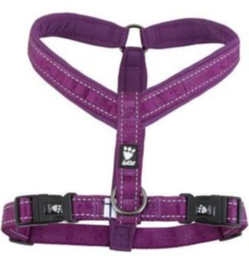 Best Dog Harnesses