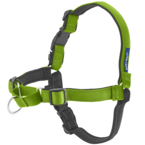 Best Dog Harnesses