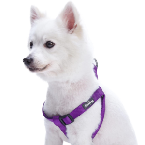 Best Dog Harnesses