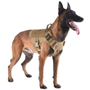 Best Dog Harnesses