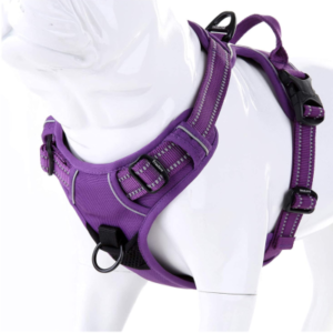 Best Dog Harnesses