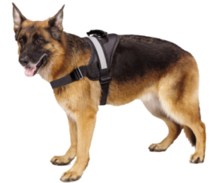 Best Dog Harnesses