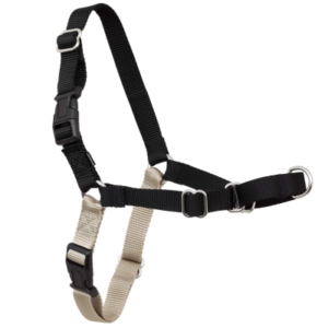 Best Dog Harnesses