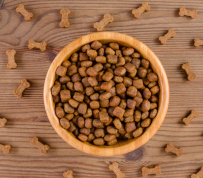 Should My Dog Have Grain Free Food?