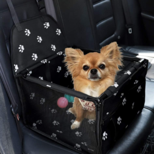 Best Dog Car Seats