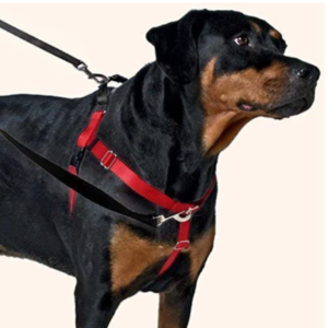 Best Harness for Dogs That Pull