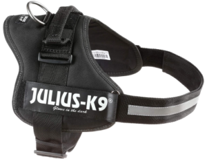 Best Harness for Dogs That Pull