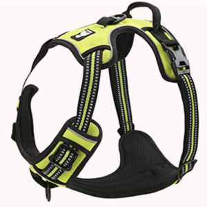 Best Harness for Dogs That Pull