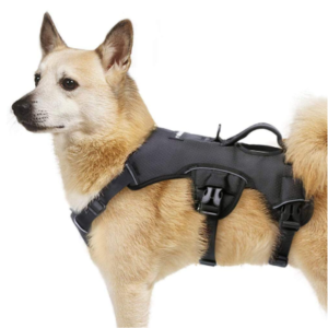 Best Harness for Dogs That Pull