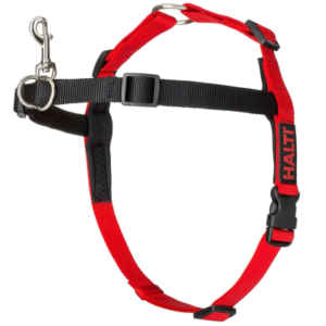 Best Harness for Dogs That Pull