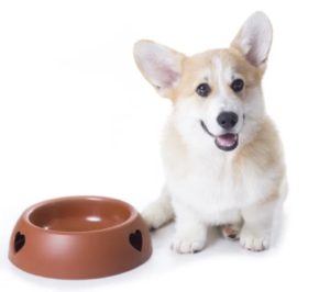 Best Dog Food for Corgis