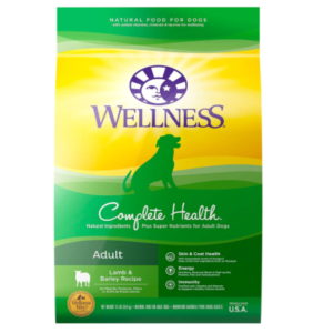 Best Dog Food for Corgis