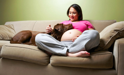 Can Dogs Sense Pregnancy