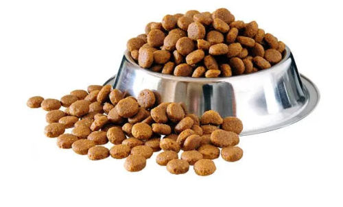 Does Grain Free Dog Food Cause Heart Disease?