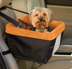 Best Dog Car Seats