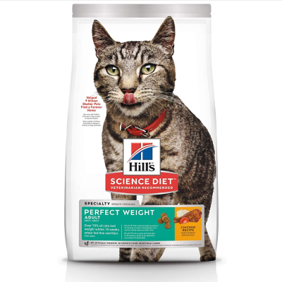 8 Best Cat Food for Weight Loss >> How to Help a Cat Lose Weight