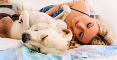 why dogs love being touched when they sleep