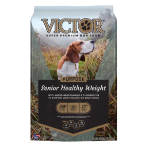 Healthiest Dog Foods for Senior Dogs