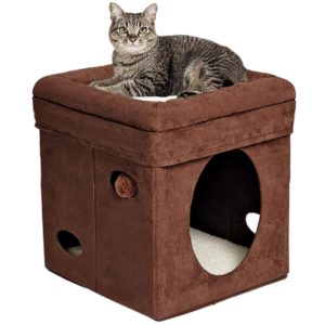 Best Cat Playhouses