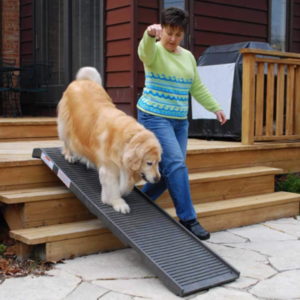 Best Dog Ramps