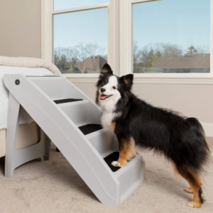 Best Dog Ramps