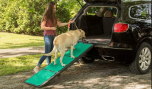 Best Dog Ramps