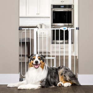 Best Indoor Dog Gates